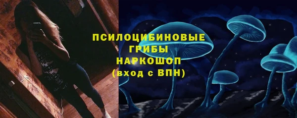 индика Абдулино