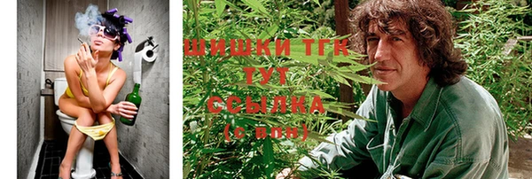 индика Абдулино