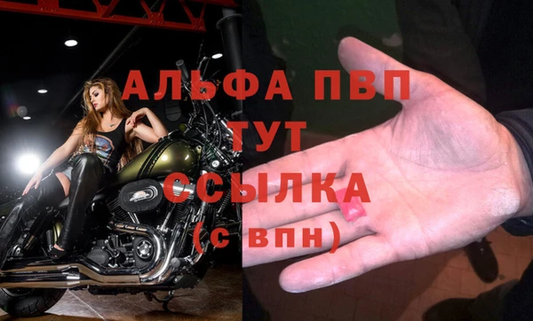 индика Абдулино