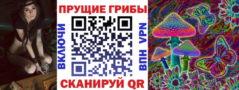 кракен как зайти  Тотьма  Псилоцибиновые грибы Magic Shrooms 